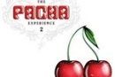Pacha - новый клуб