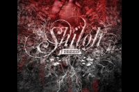 Творение Shiloh