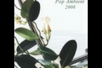 «Ambient Pop 8»