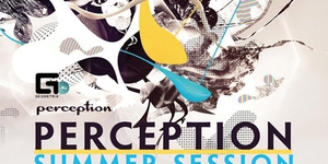  Perception Summer Session