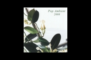 «Ambient Pop 8»