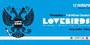Lovebirds