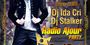 Radio Ajour Party