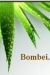 Bombei bombei.com.ua